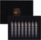 Oil Pastels, 8PCS Black Oil Pastel Set with Creamy Texture Easy to Blend, Bullet Heads HAIYA Oil Pastels for Artists and Beginners, Art Supplies for Painting and Drawing